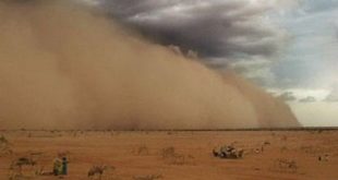 کنترل توفان‌های ماسه‌ای با جایگزینی گونه‌های درختی با بوته‌ای/ شدت بالای خشکسالی در ایران