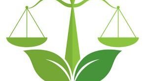 توسعه پایدار، راه رسیدن به «عدالت محیط زیستی»